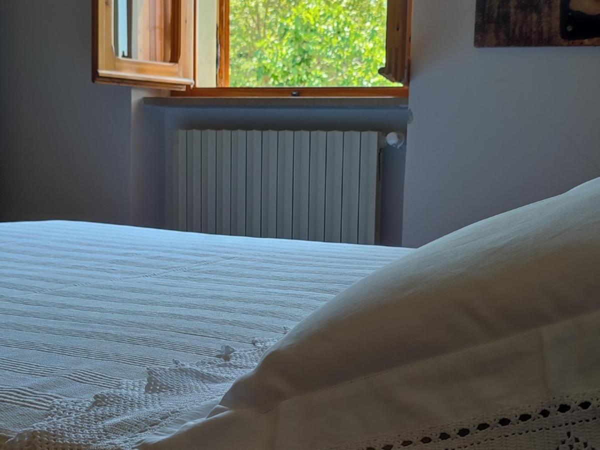 Bed And Breakfast Country Hill Arezzo Buitenkant foto