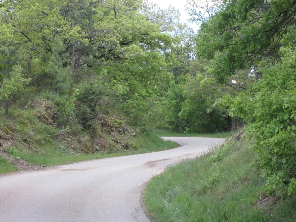 Bed And Breakfast Country Hill Arezzo Buitenkant foto