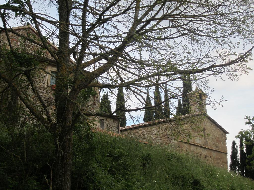 Bed And Breakfast Country Hill Arezzo Buitenkant foto
