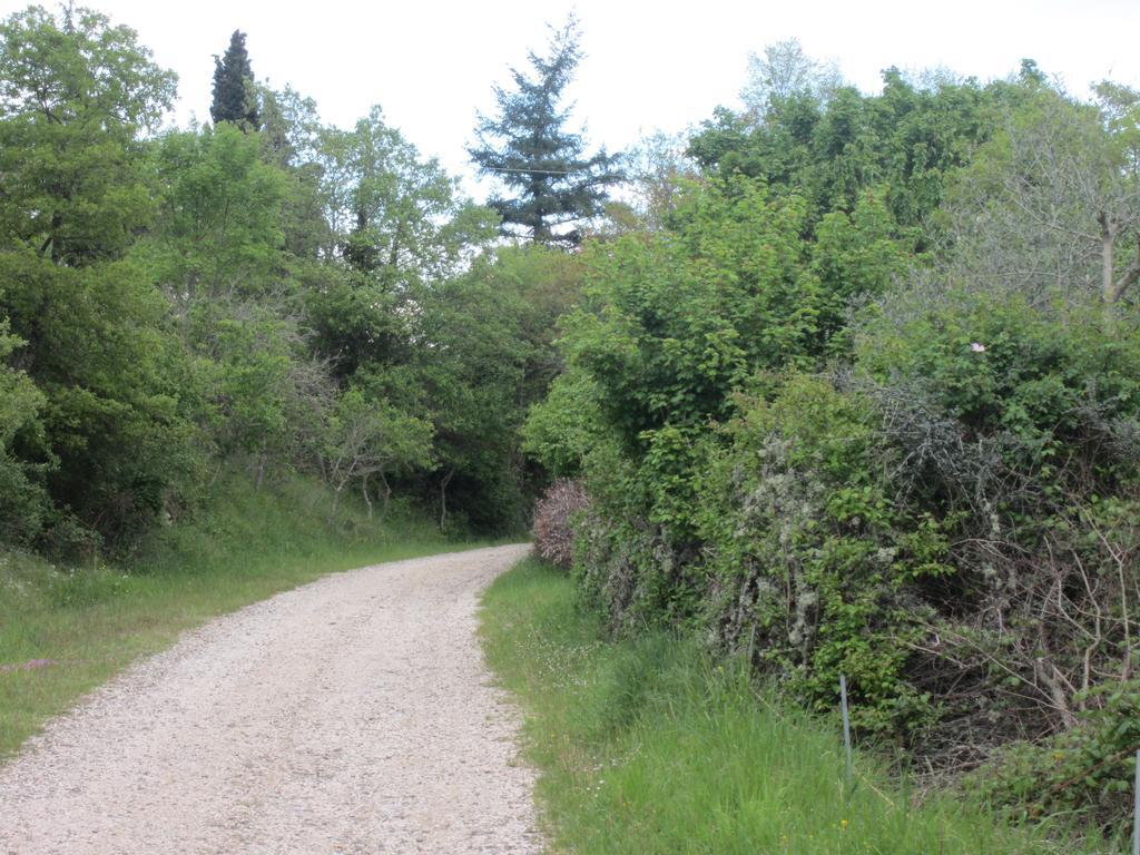 Bed And Breakfast Country Hill Arezzo Buitenkant foto