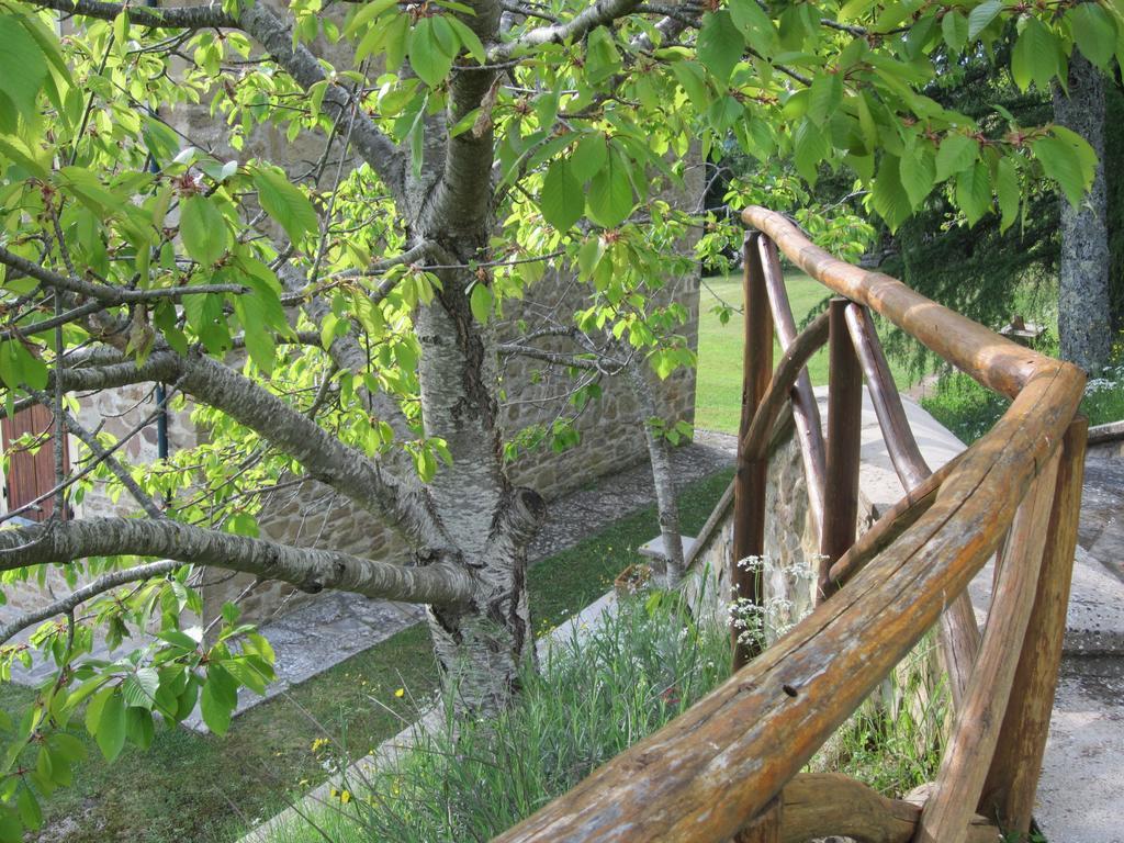 Bed And Breakfast Country Hill Arezzo Buitenkant foto