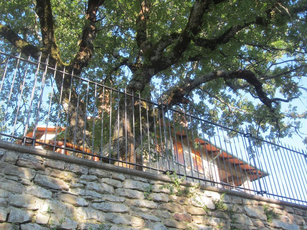 Bed And Breakfast Country Hill Arezzo Buitenkant foto