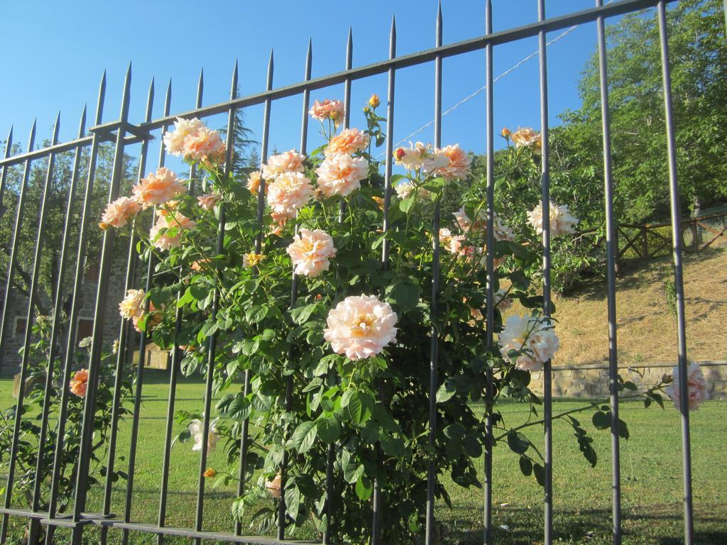 Bed And Breakfast Country Hill Arezzo Buitenkant foto